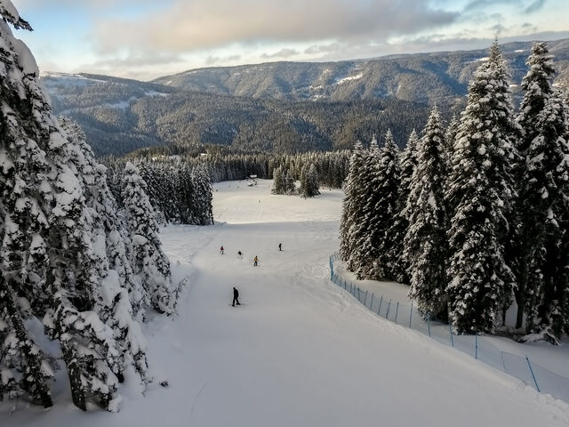 Ilgaz & Kartalkaya Kayak Turu