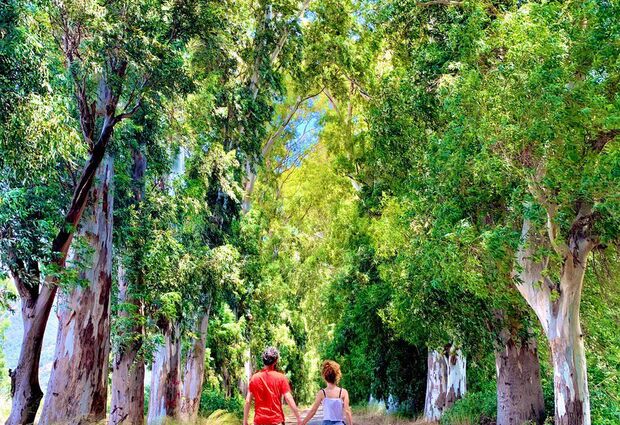 Marmaris Datça Dalyan Turu ( 4 Gece Konaklamalı )