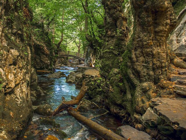 Gökçeada Bozcaada Assos Kazdağları Turu ( 30 Ağustos'a Özel )